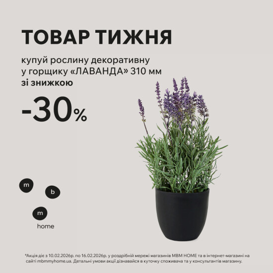 Товар тижня! Декоративна «Лаванда» у горщику зі знижкою 30%