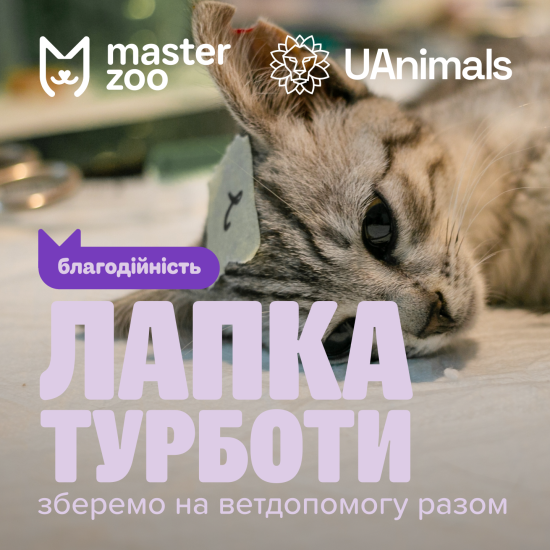 Маленька «лапка» — велика допомога: нова хвиля ініціативи від MasterZoo та UAnimals