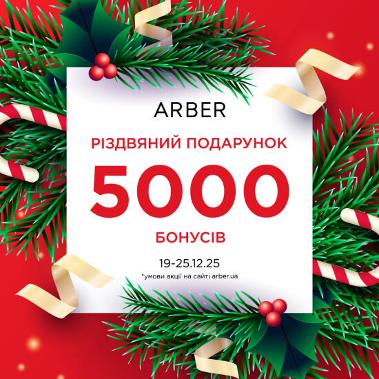 Christmas gift from ARBER