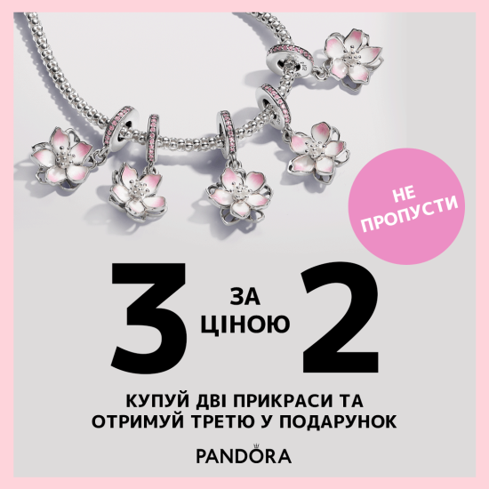 Three Pandora jewelry for the price of two!