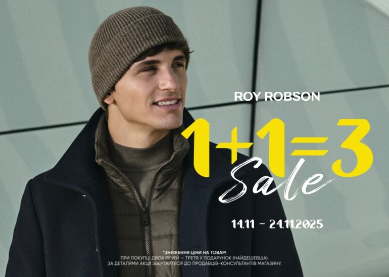1+1=3 in Roy Robson